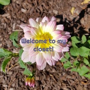 Welcome to my closet!